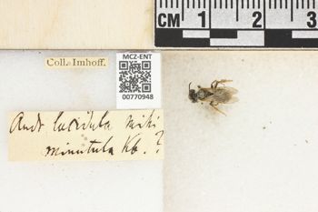 Media type: image;   Entomology 770948 Aspect: Labels